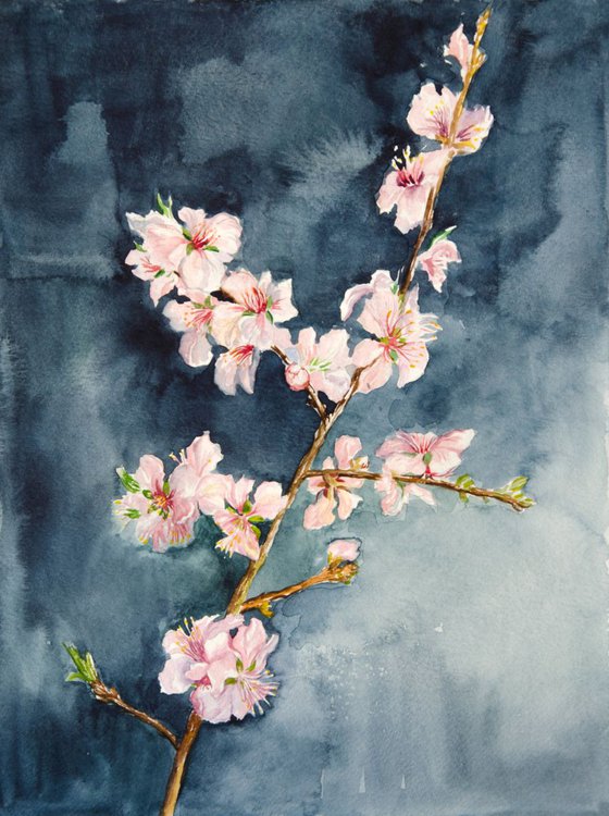 The branch of an almond tree. Watercolor