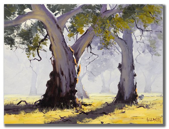 Misty Morning Australian Landscape