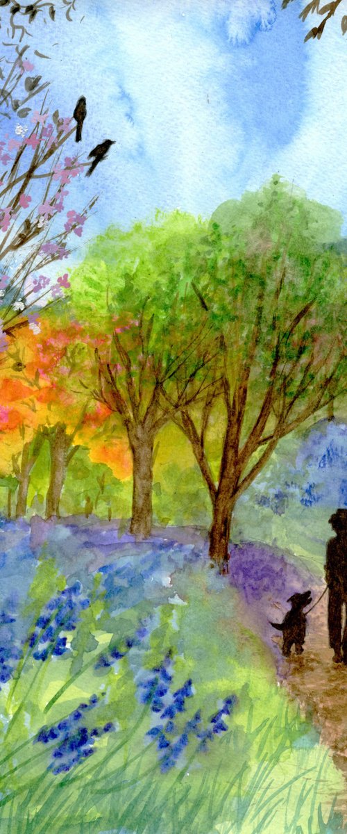 Bluebell Walk by Lisa Mann