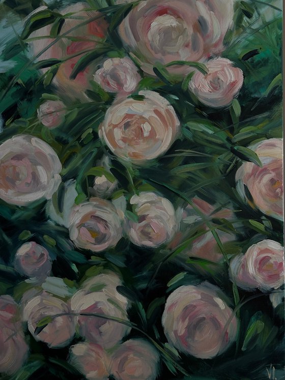Bloom before the heat