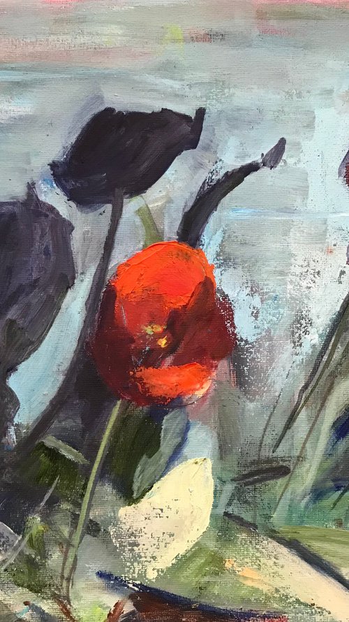 Tulips and Shadows by Sandra Haney