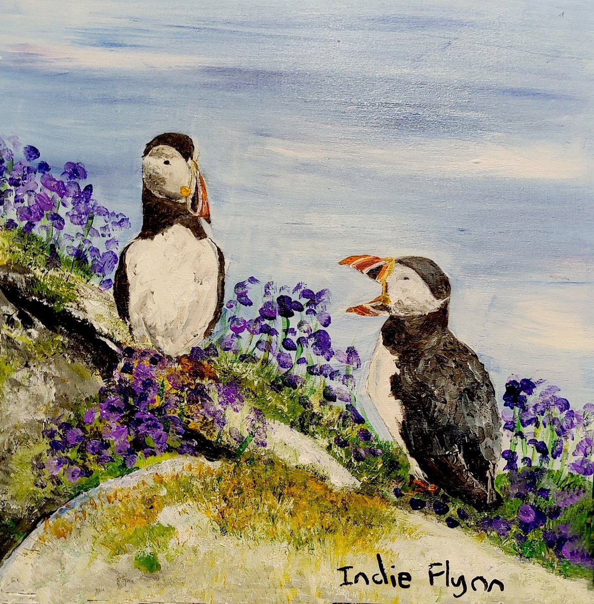 Puffins of Scotland 2 