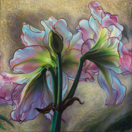 Pink Amaryllis Triptych