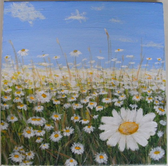 Daisies In The Field - SOLD