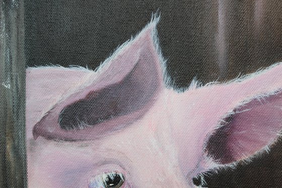 Stinky Pinky Porker