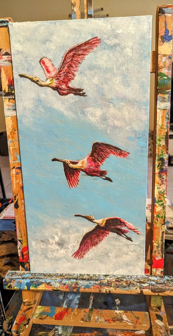 3 Roseate Spoonbill