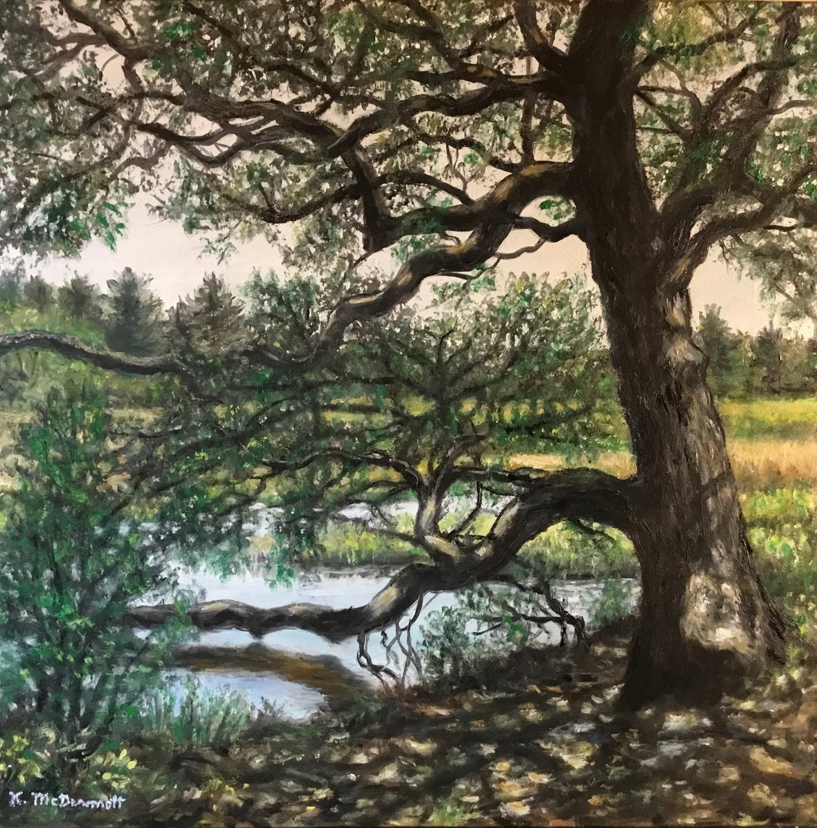 Photorealistic Landscape Oil Painting By Kathleen Mcdermott, 14 X 14", Marsh Oak At Vereen Gardens, Original Artwork