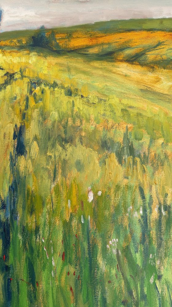 Over the field
