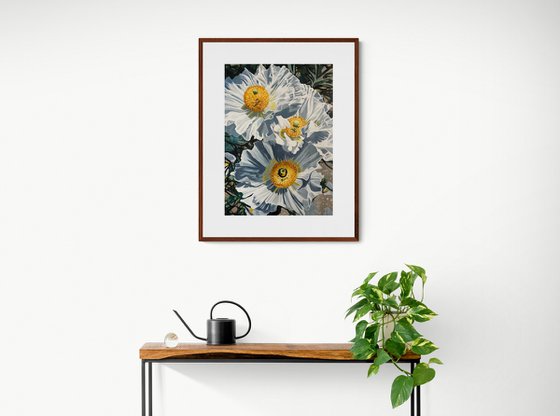 White Tree Peony