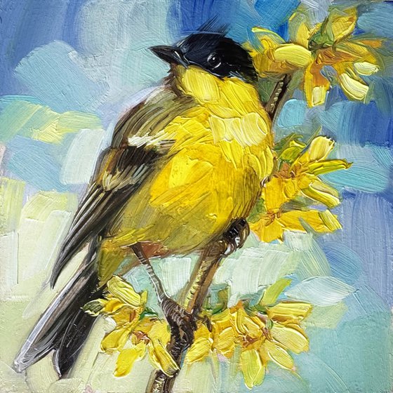 Yellow warbler