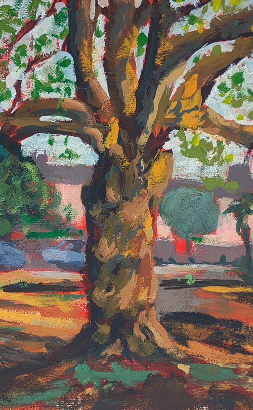 Thorn Park Study by David Fernandez Giron