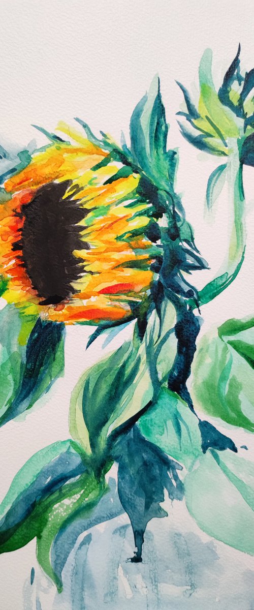 Sunflower bud. by Mag Verkhovets