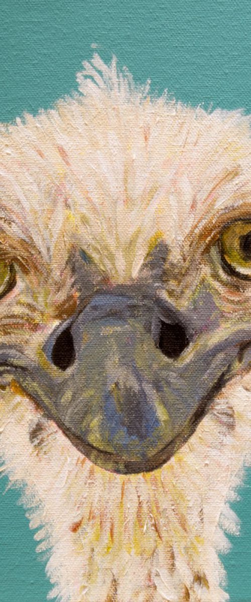 Ostrich by Amy Devlin