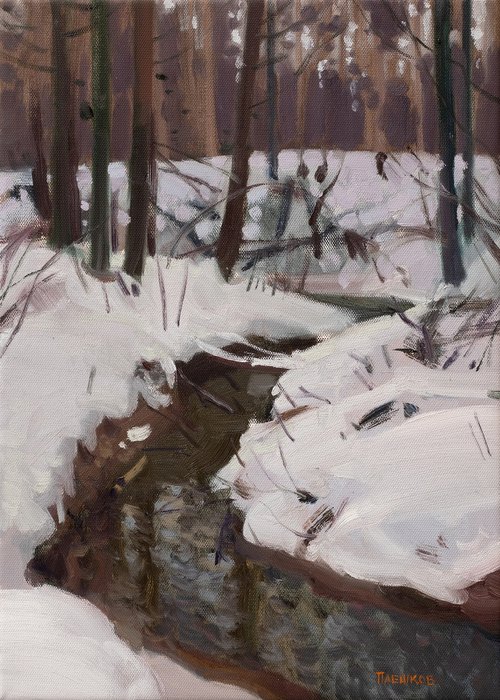 Forest stream by Alexey Pleshkov