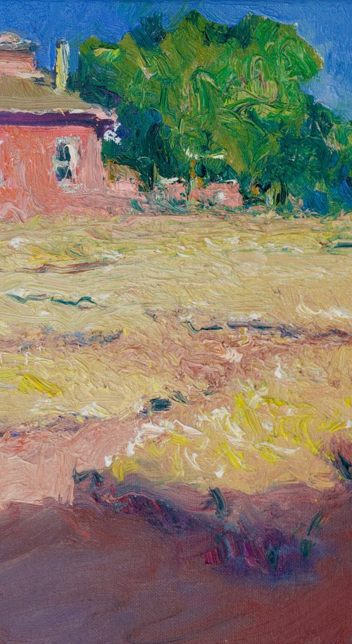 Pink Farmhouse by the Golden Fields by Suren Nersisyan