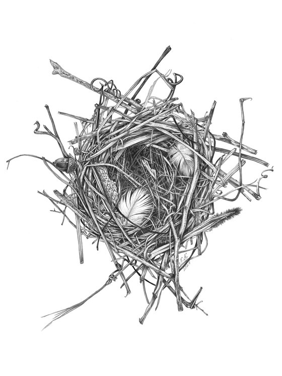 Nest