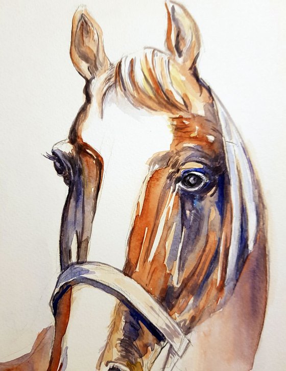 Horse by watercolor