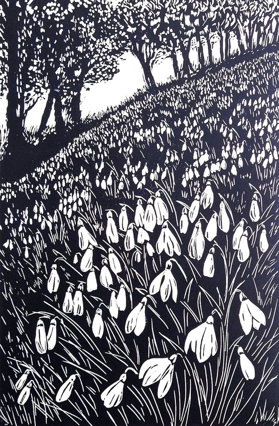 Snowdrop Wood