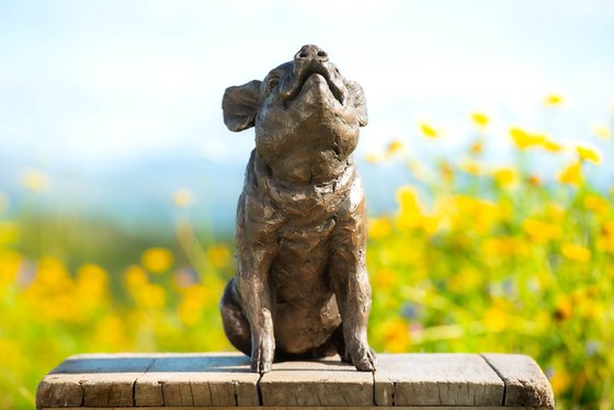 Sitting Piglet BR