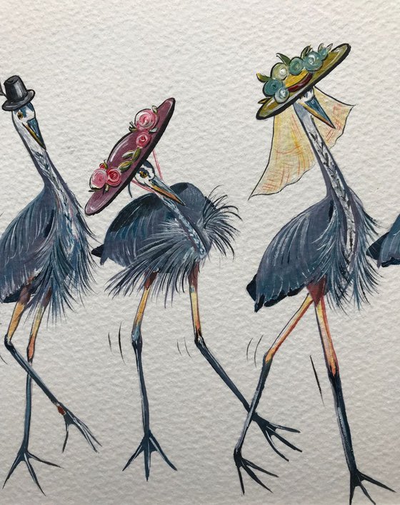 Herons in hats