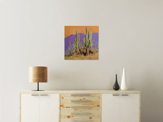 Saguaro. Desert Evening