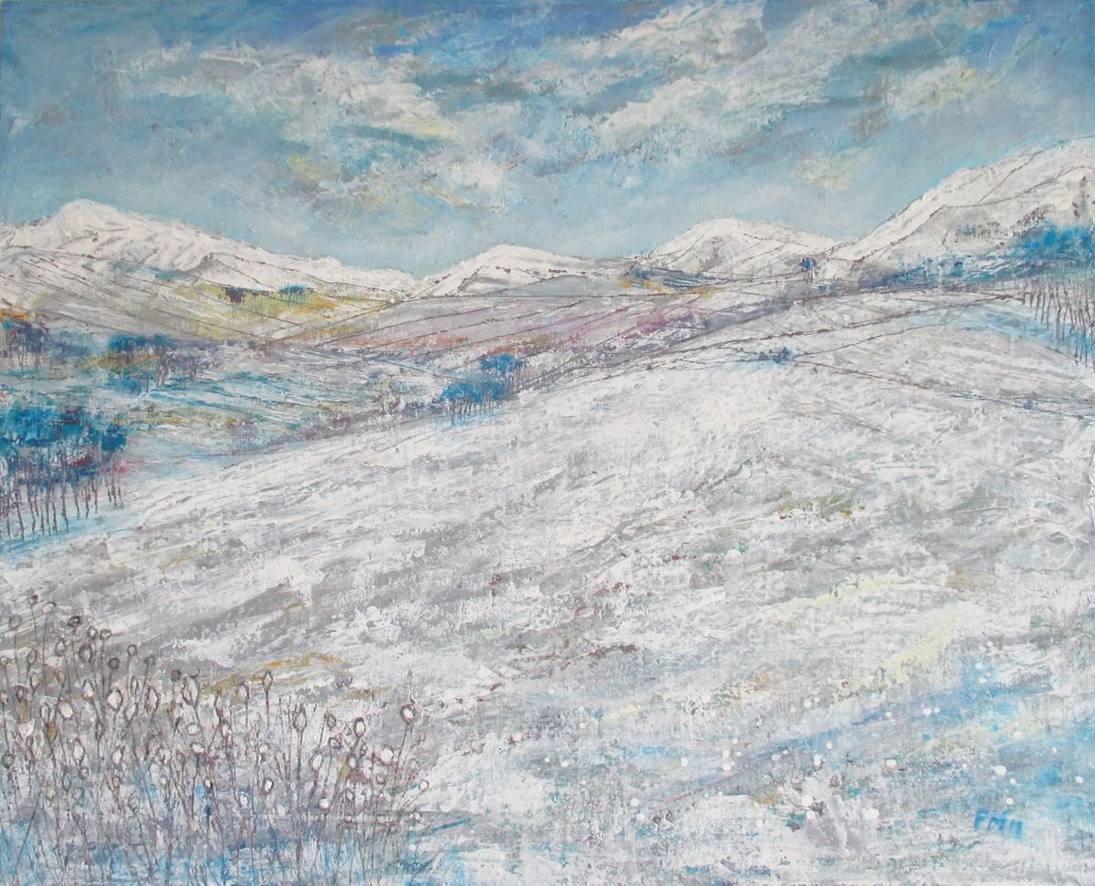 Snowy Fields by Pamela McMahon