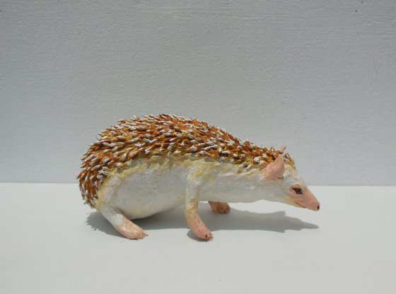 Hedgehog