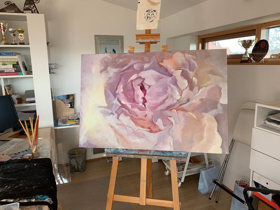 Pink peony 80x120