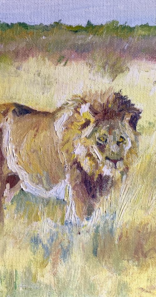 Lion by Ryan  Louder