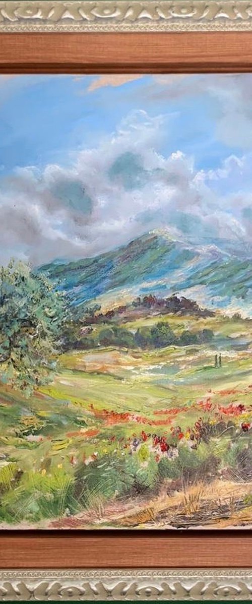 Poppy Fields by Olga McNamara BiennaleArtist