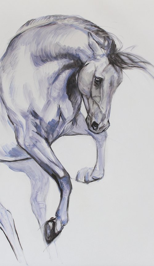 Violet horse by Marie Madej