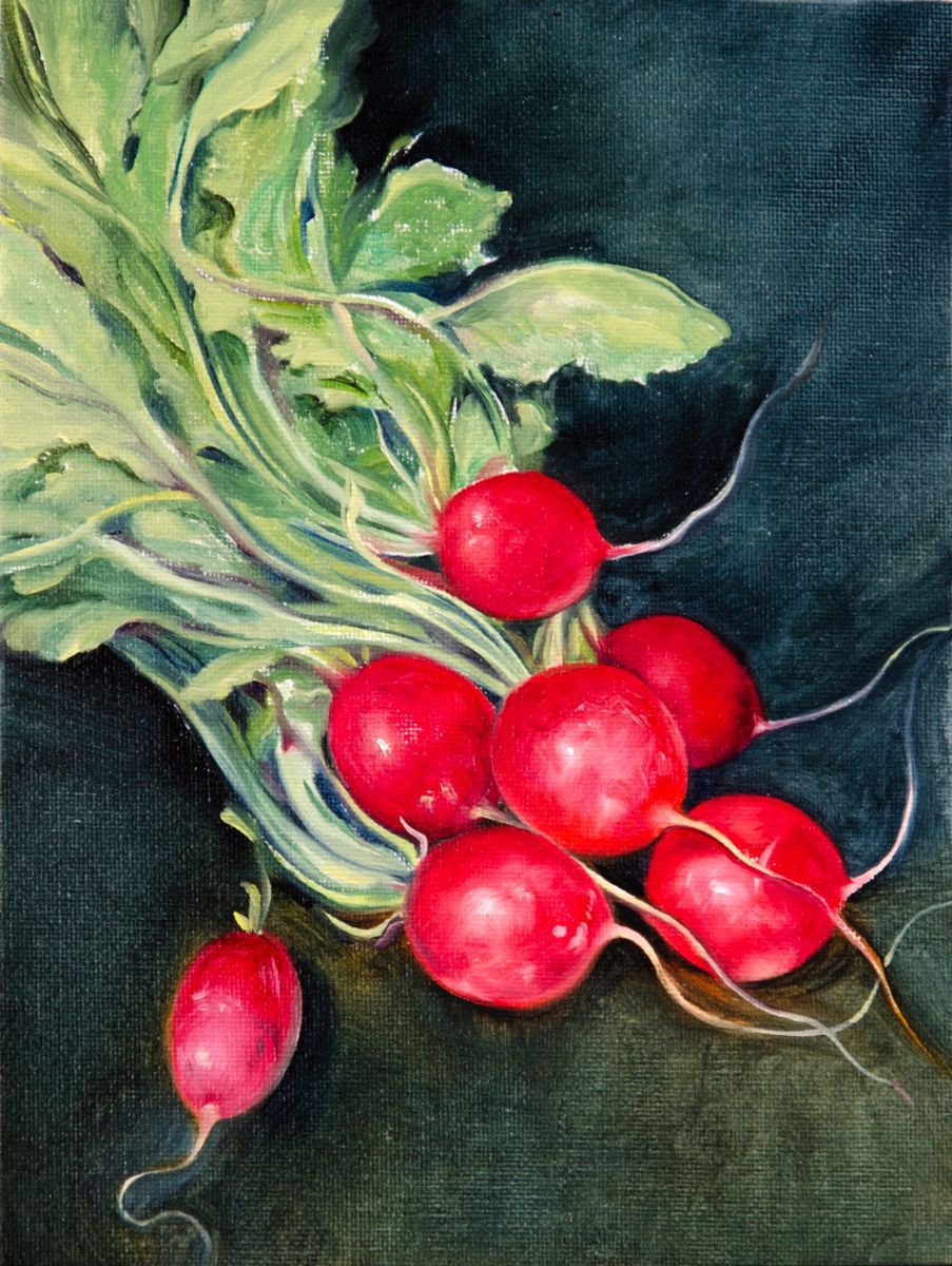 Radish by Daria Galinski