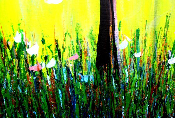 Magnolia Spring