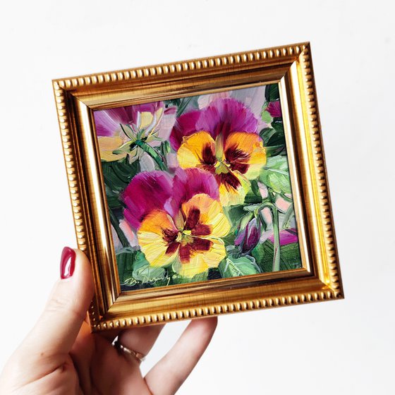 Pansy flowers