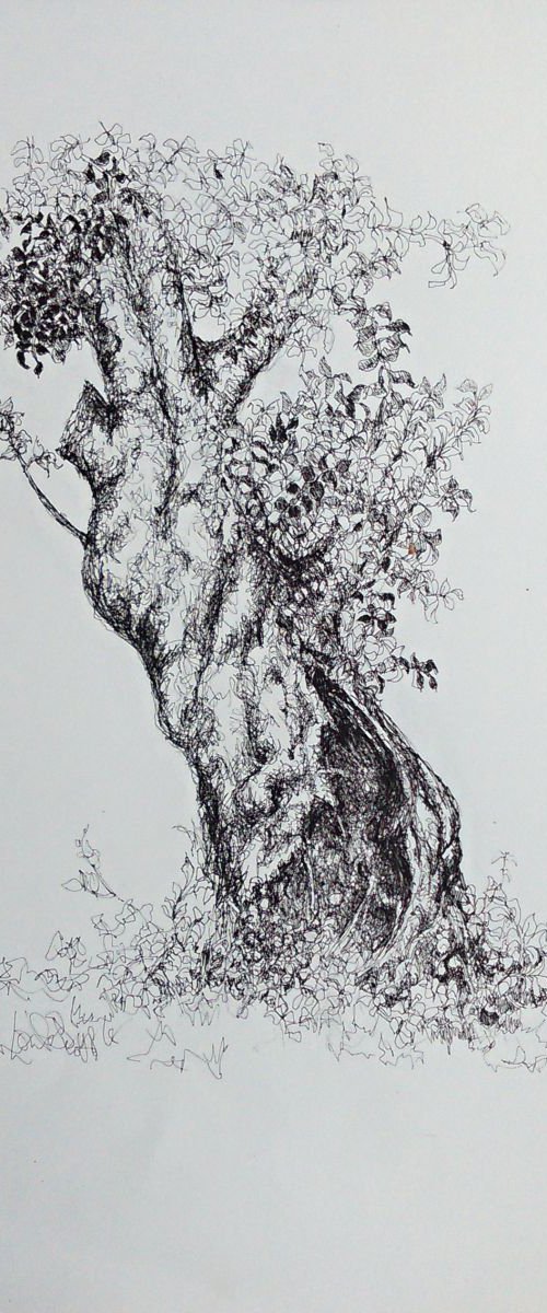 Albero siciliano by Louise Diggle