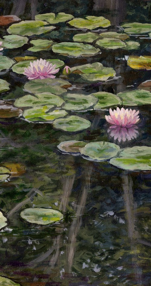 Lily Forest Reflections by Steph Moraca