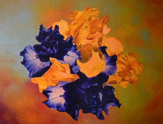 Floral contrasts