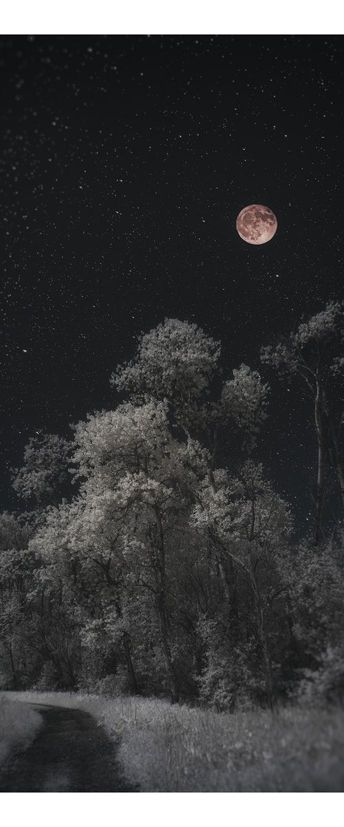 Trees and Moonlit Path- 24x36" by Brooke T Ryan