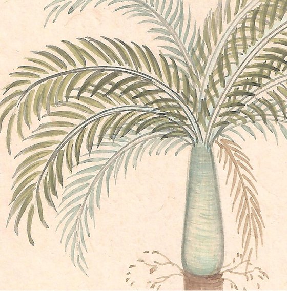 Bottle Palm | Indian Miniature