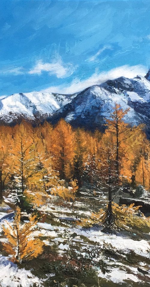 Larch Valley by Andrew Newton