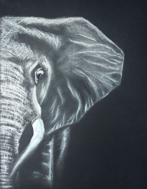 Elephant by Salana Art Gallery