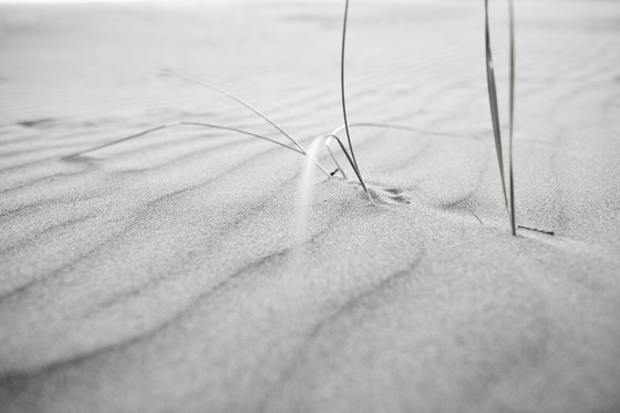 Sand Dunes - II