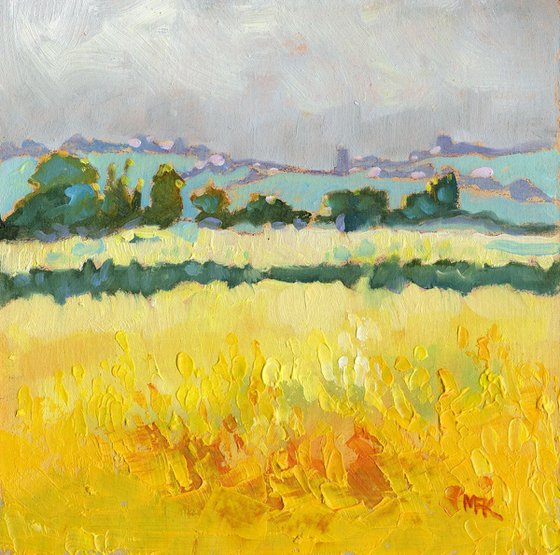 Yellow Mustard Fields at Oundle