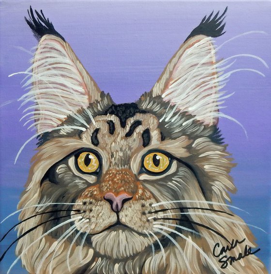 Maine Coon Cat Pet Original Art Painting-8 x 8 Inches Stretched Canvas-Carla Smale