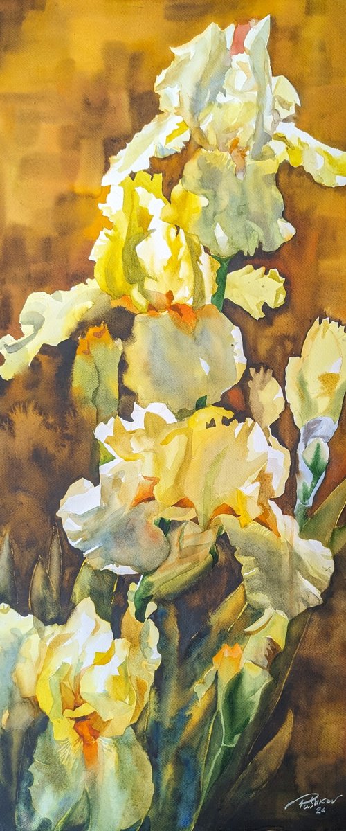 YELLOW IRISES#3 by Yurii Pashkov