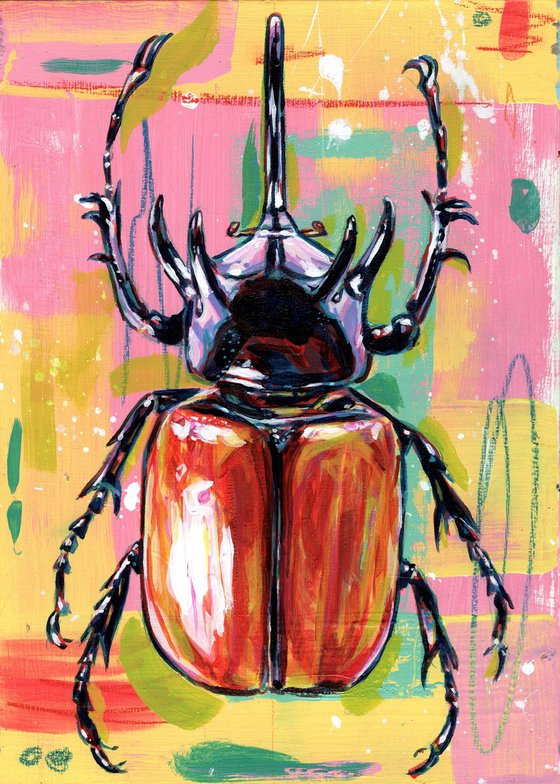 Five horned rhino beetle