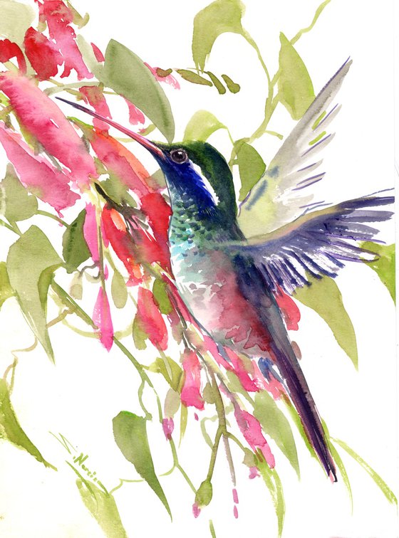 Hummingbird