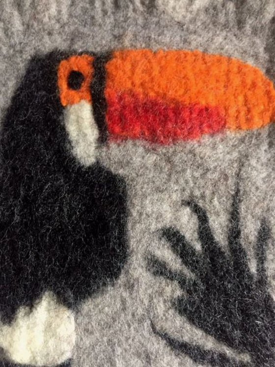 Toucan - felted picture