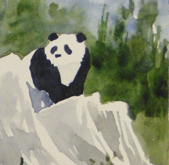 Two Pandas On The Rocks