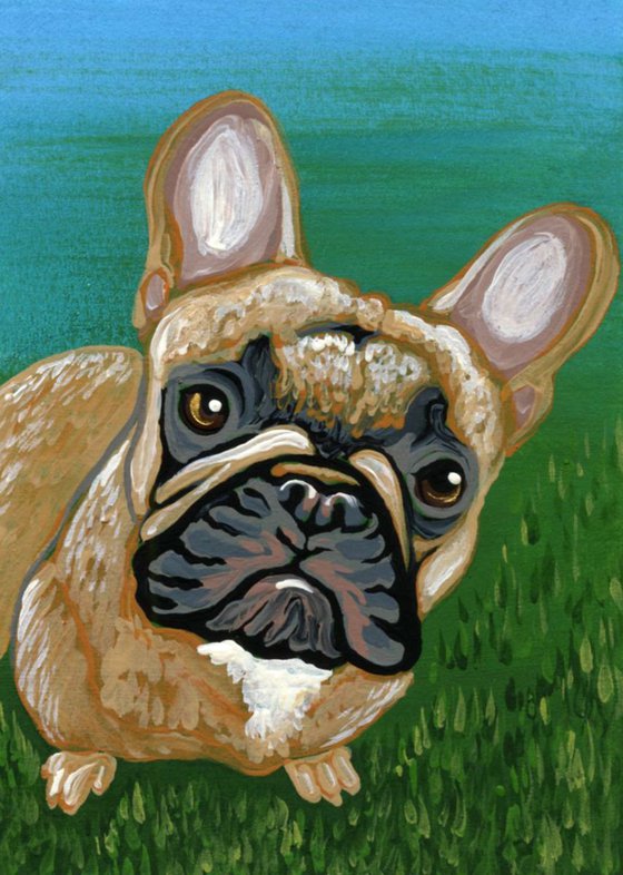 ACEO ATC Original Painting French Bulldog Pet Dog Art-Carla Smale